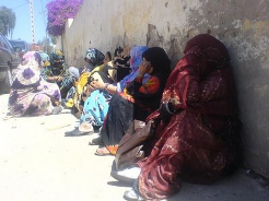 presos-saharauis-en-huelga-de-hambre1