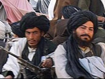 Talibanes