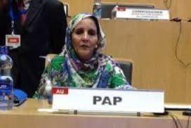 vicepresidenta-parlamento-ua