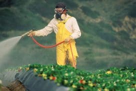 La Corte Suprema de Estados Unidos impide que pacientes con cáncer demanden a Bayer/Monsanto por emplear el herbicida Roundup, cuya sustancia activa es el Glifosato Glifosato