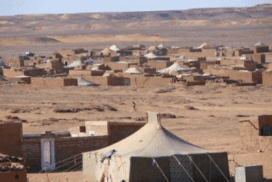 El “yo voy al Sahara” de los cooperantes, el rotundo mensaje al Ejecutivo español Sahara