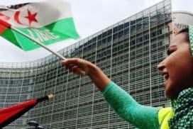 Suecia se opone a la apelación del Consejo sobre la sentencia relativa al Sáhara Occidental Sahara