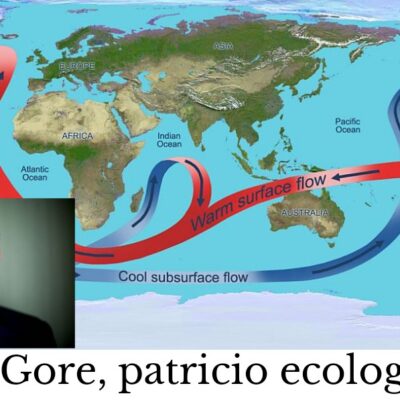 Al Gore: me sumo a la polémica, con su permiso
